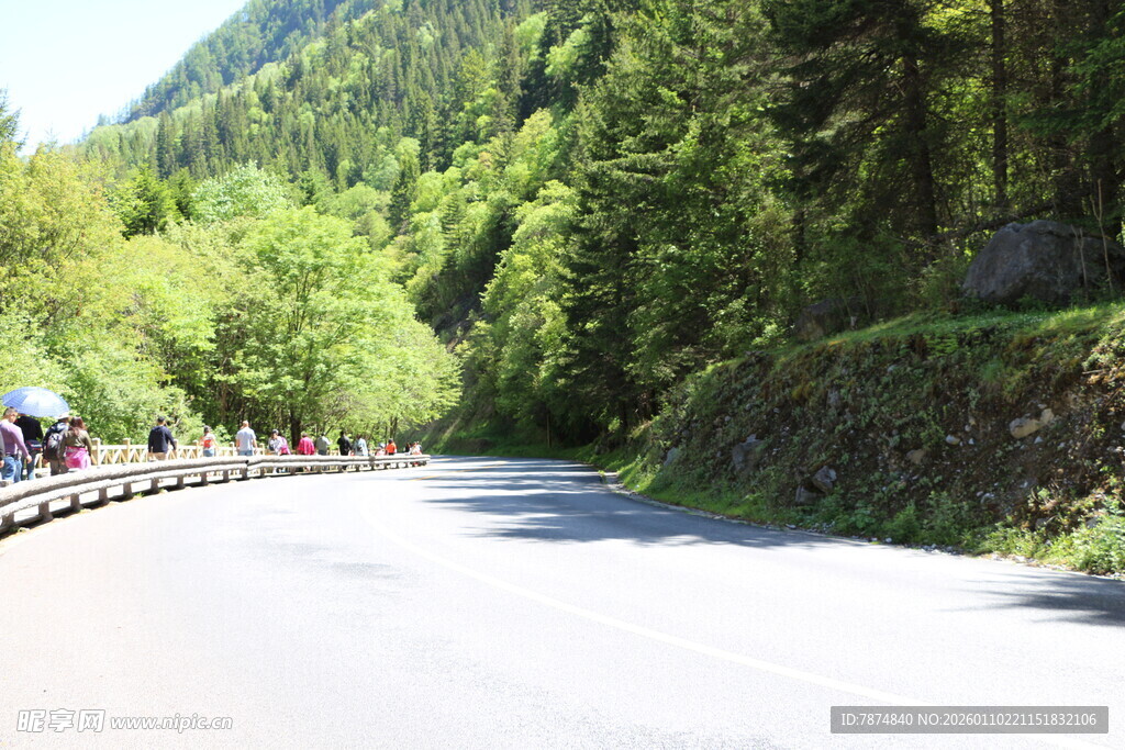 山间公路旁的宜人景色