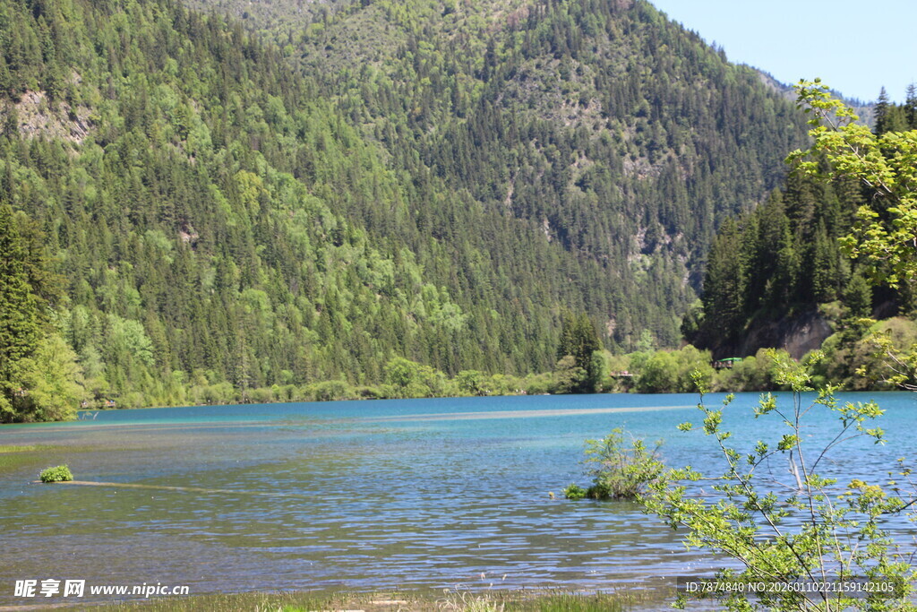 山间蓝湖 绿意环绕美景