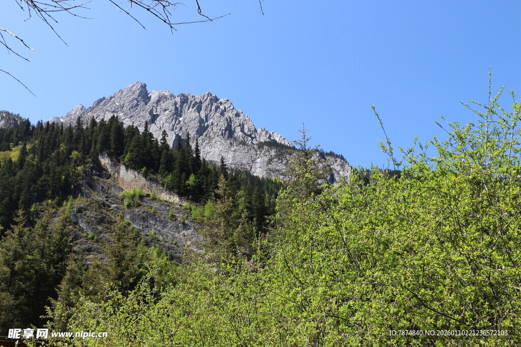 巍峨山峦伴葱郁植被