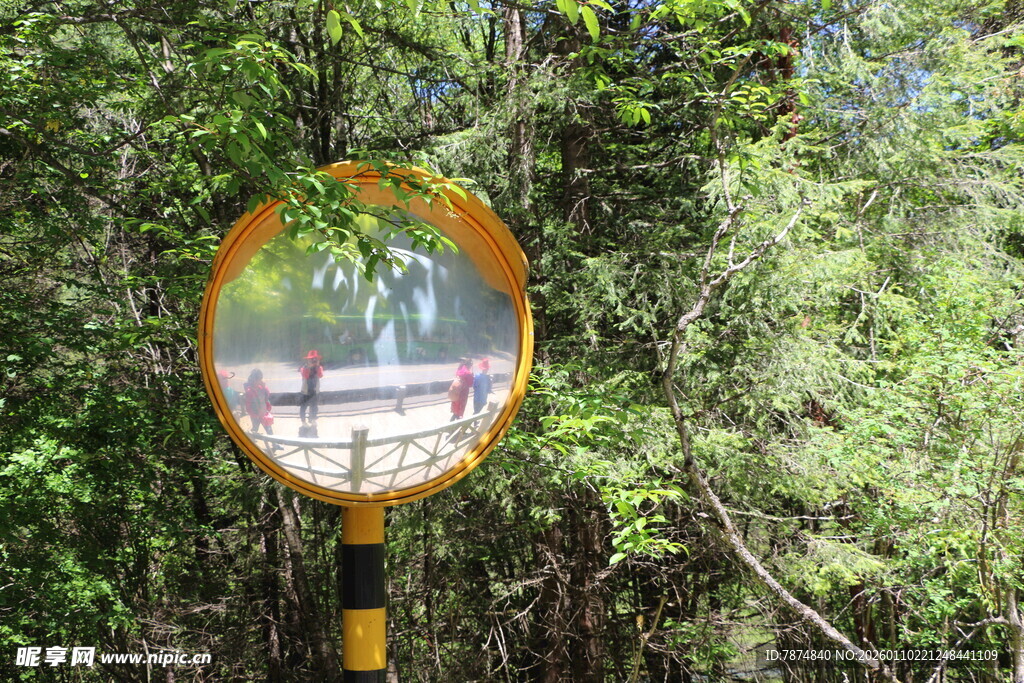 林间凸面反光交通警示镜