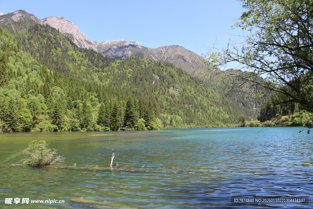 青山绿水间的秀丽湖泊