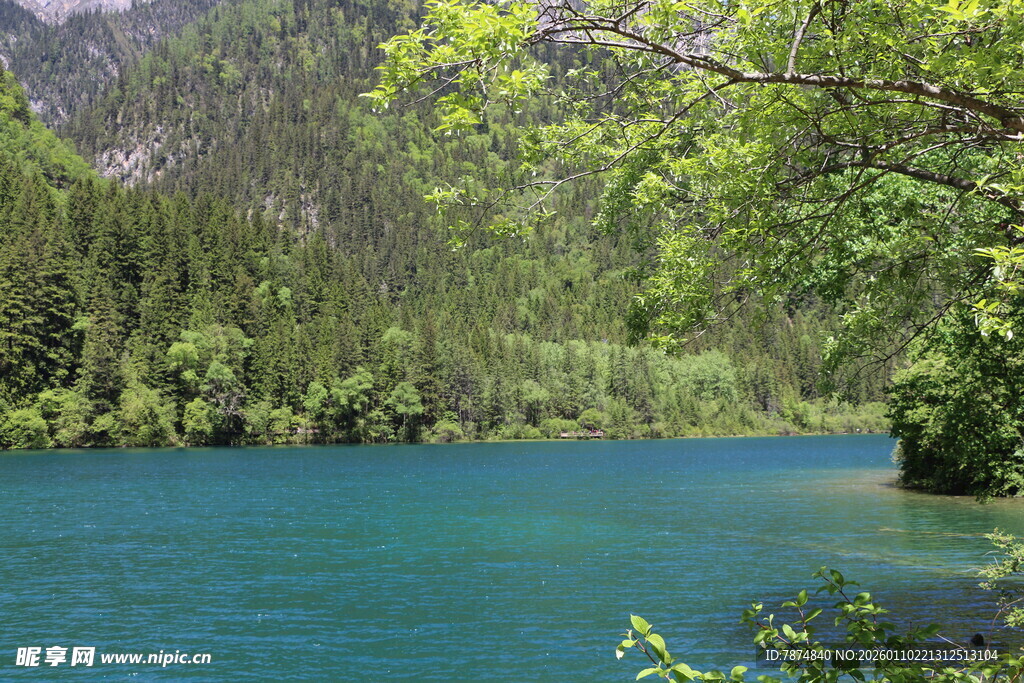 青山碧水间的秀丽湖泊
