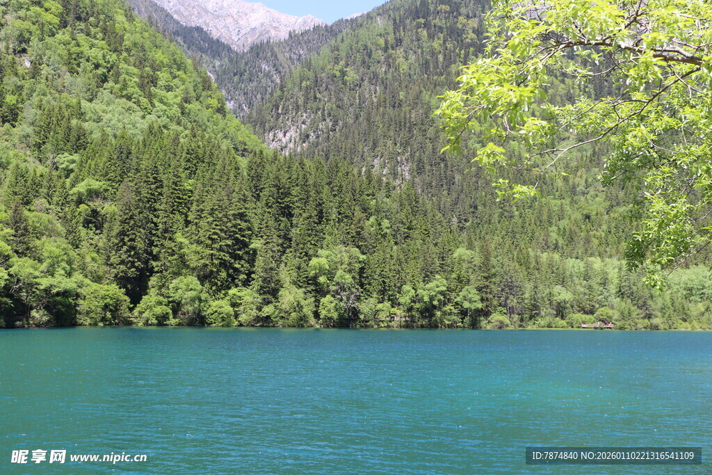 翠绿山林环绕的幽蓝湖水