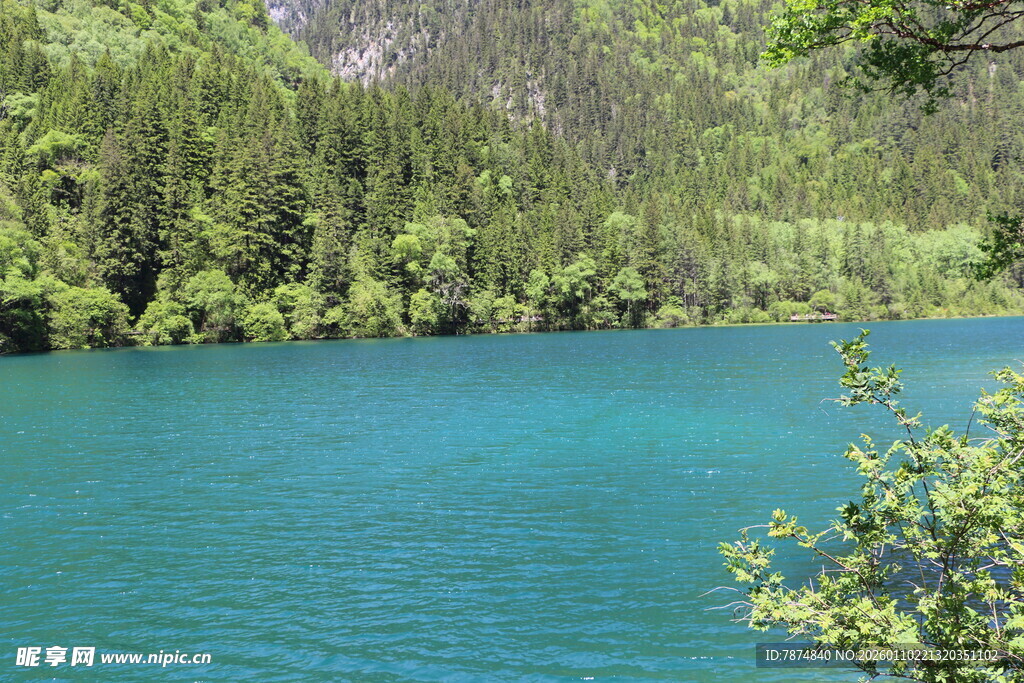 翠绿山林环绕的湛蓝湖水
