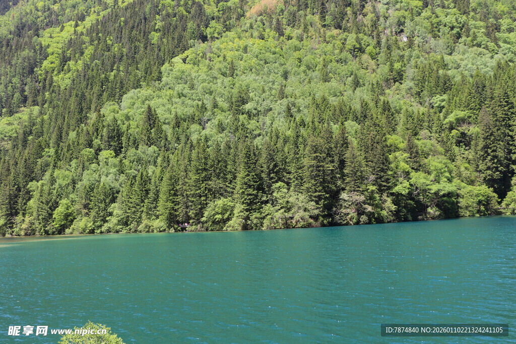 翠绿山林环绕的幽蓝湖水