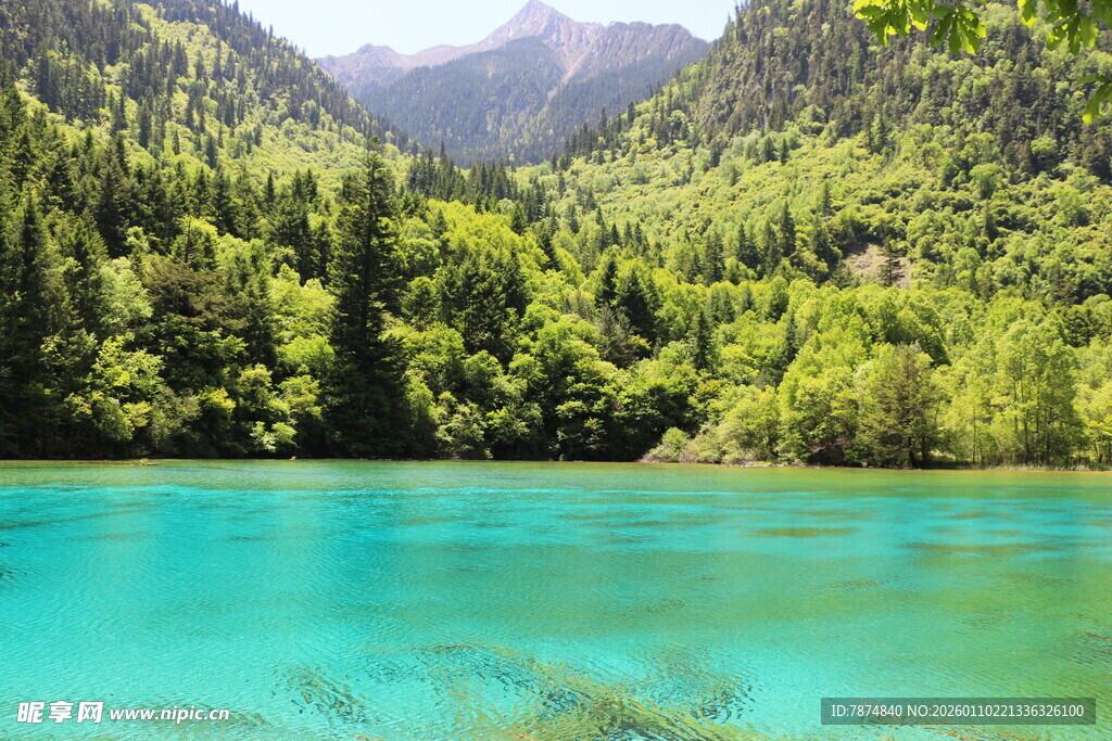 梦幻翠湖映山林