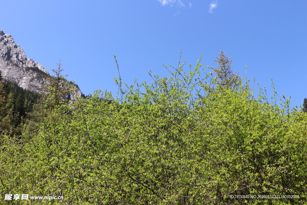 山间葱郁绿植与蓝天