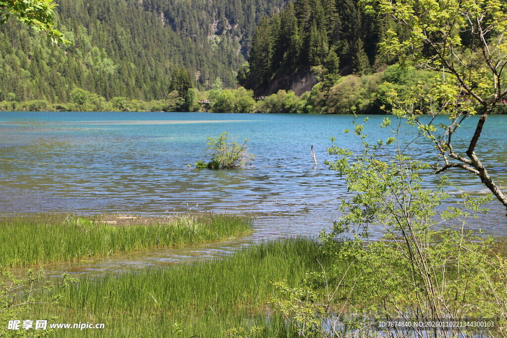 山间蓝湖 绿意环绕景致美