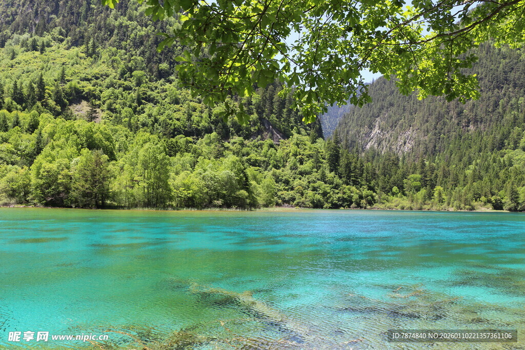碧绿湖水与葱郁山林美景