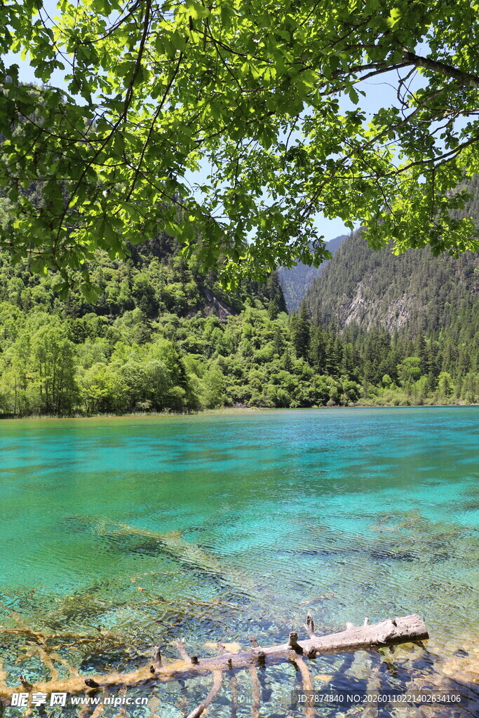 清澈蓝绿湖水与岸边绿树