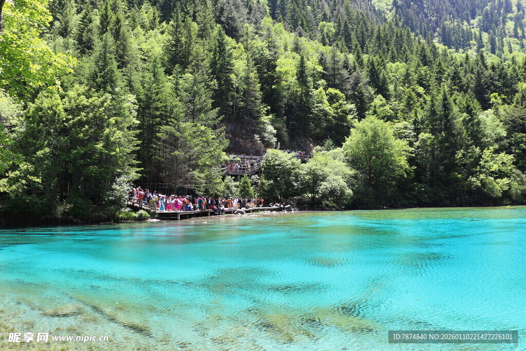 梦幻蓝湖旁的葱郁山林