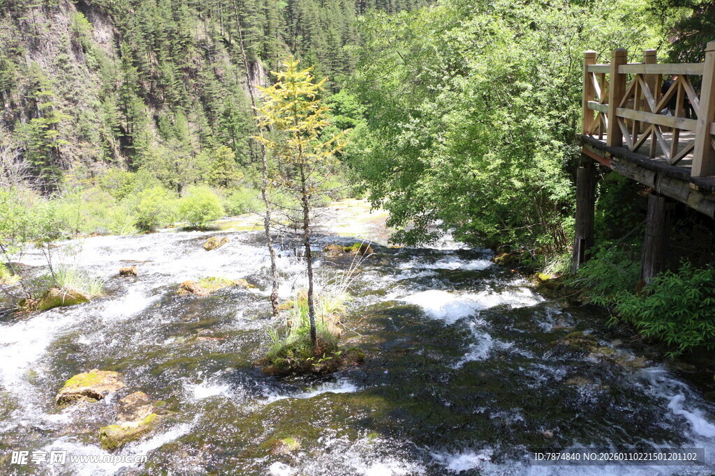 山间溪流旁的木质栈道