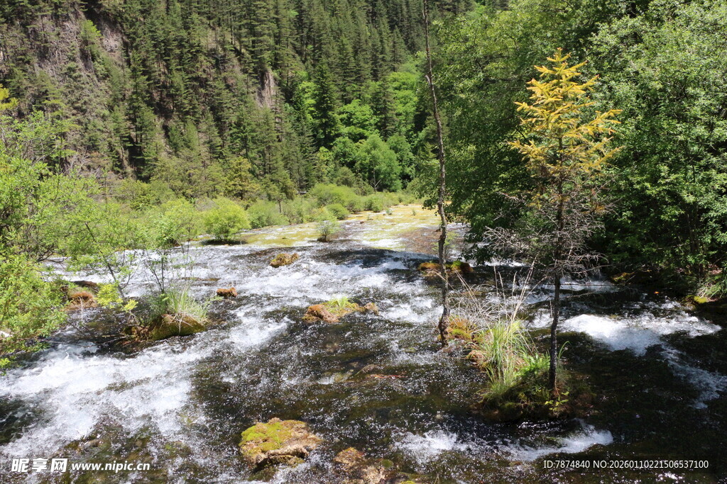山间溪流 绿意盎然的景致