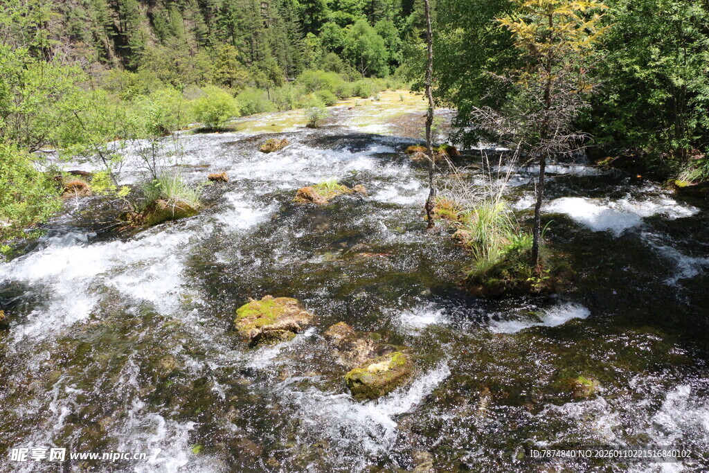 山间溪流潺潺 景色宜人