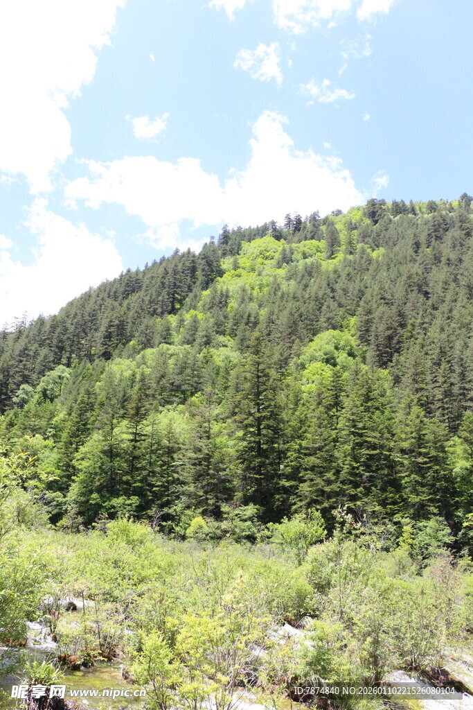 山间绿意盎然的自然景致