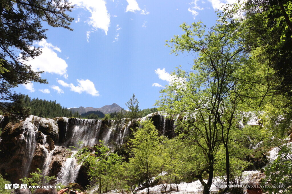 山间瀑布旁的葱郁景致
