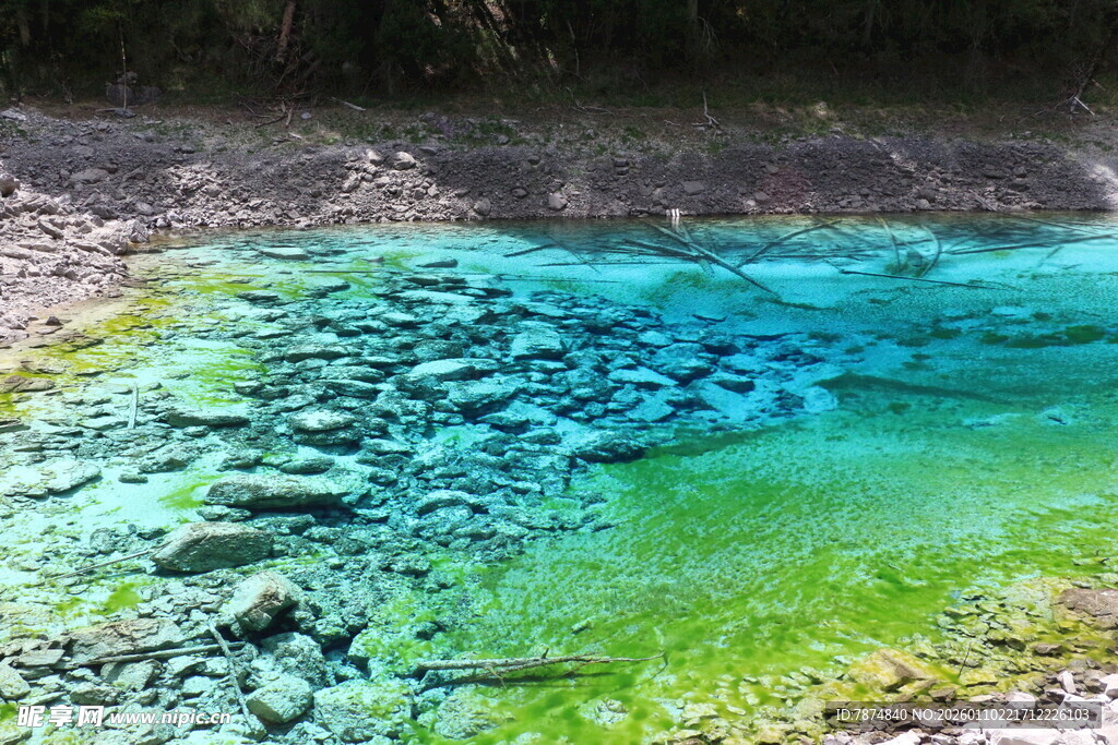 清澈蓝绿相间的美丽水潭