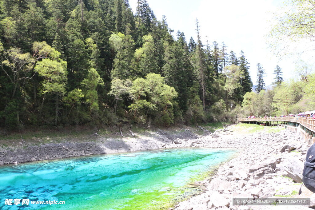 山间碧色溪流美景