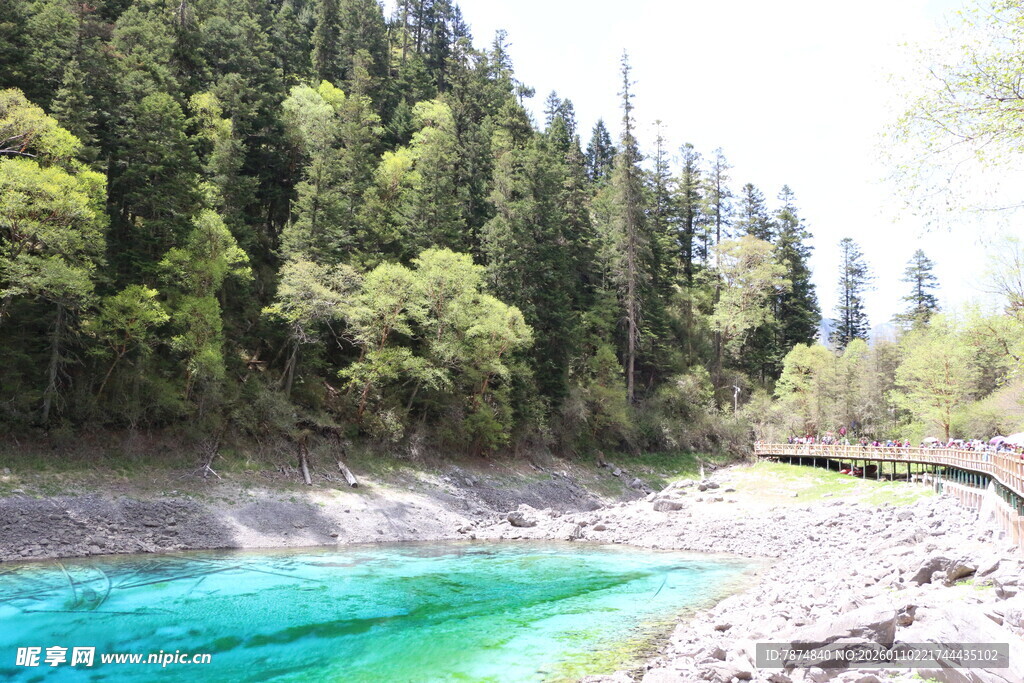 山间碧湖 森林环绕美景