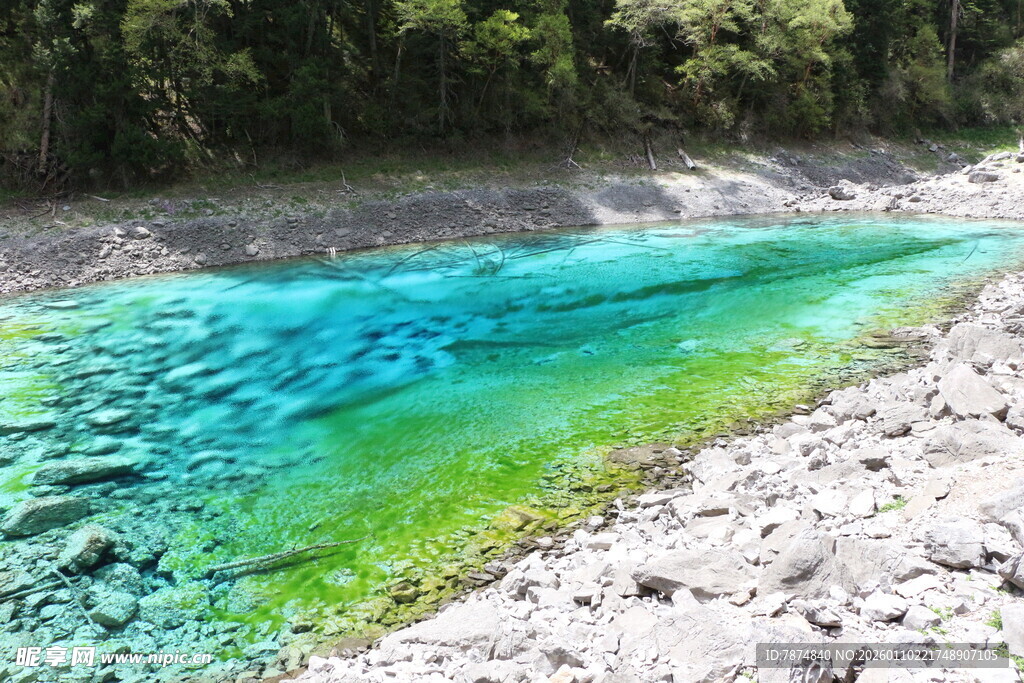 清澈蓝绿相间的美丽水域
