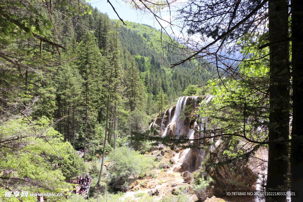 山间瀑布旁的葱郁森林