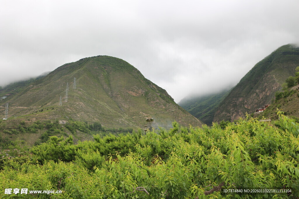 山间绿意浓 云雾绕青山