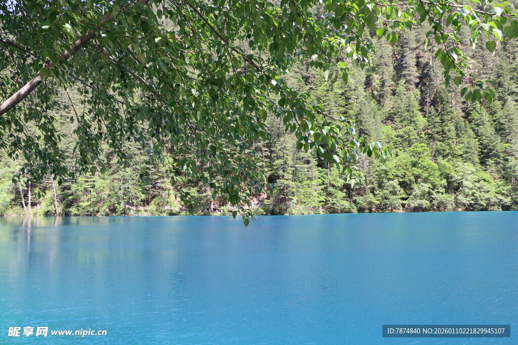 蓝湖美景 周边绿树环绕