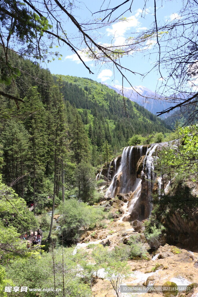 山间瀑布旁的葱郁森林