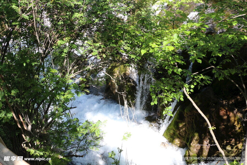 林间溪流瀑布自然美景