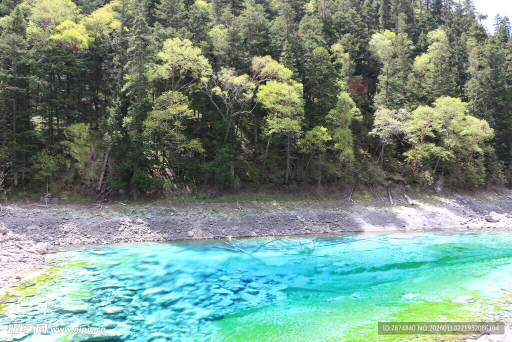 翠绿山林旁的蓝绿湖水