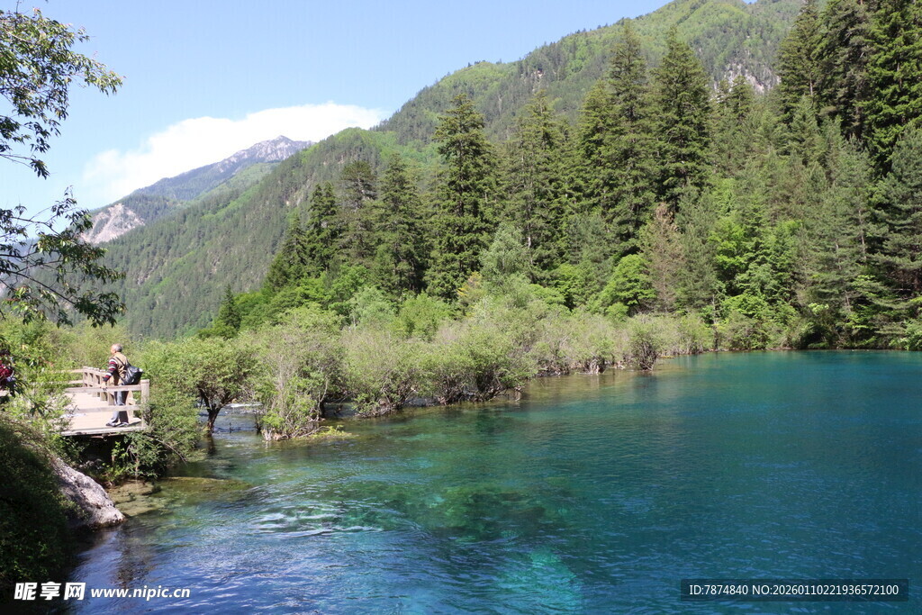 清澈蓝湖旁的山林美景