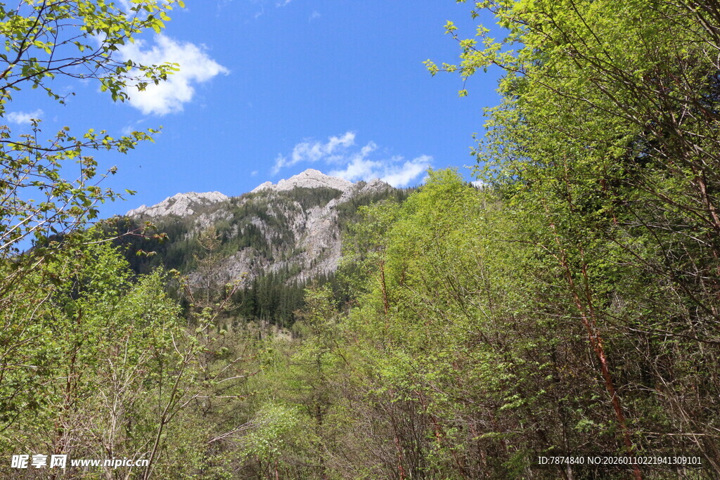 山林绿意 蓝天相伴