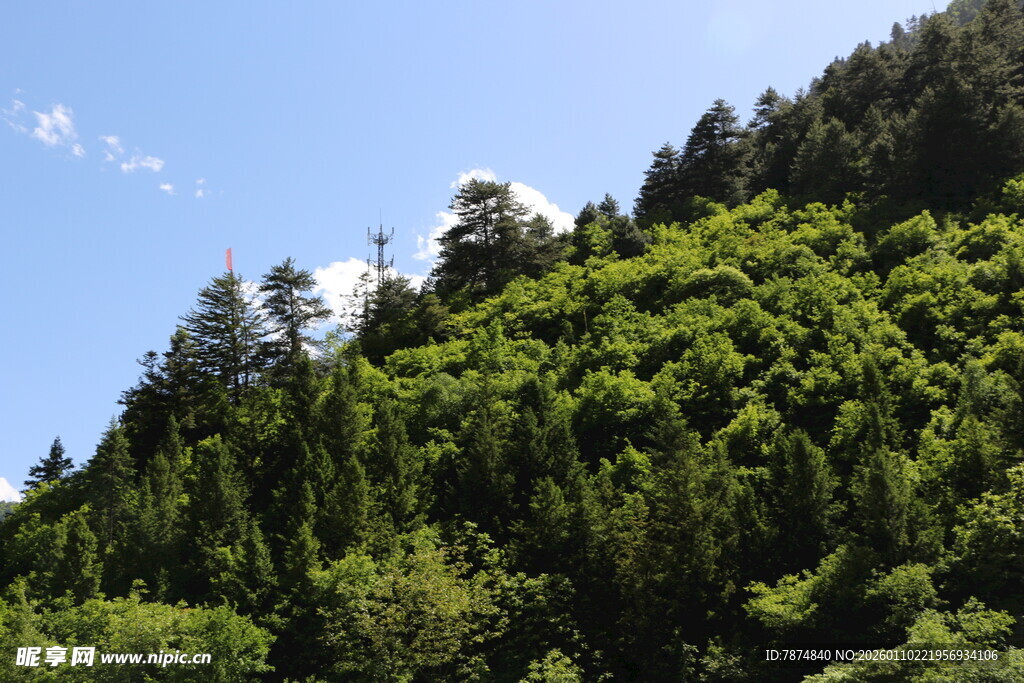 青山绿树蓝天秀丽景致