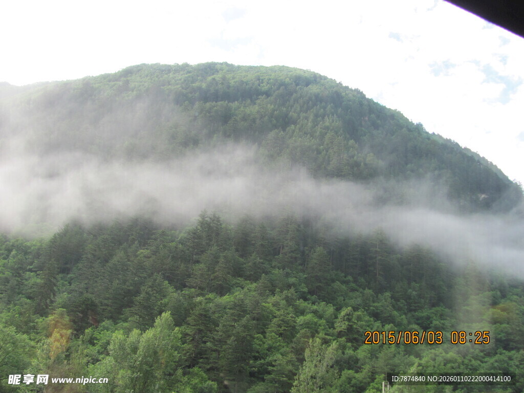 云雾缭绕的葱郁山林