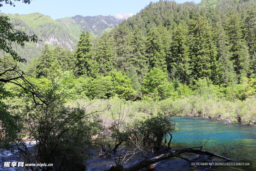 山间幽蓝湖水与葱郁林木