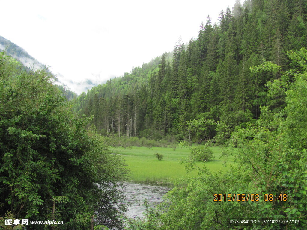 山间溪边绿意盎然的景致