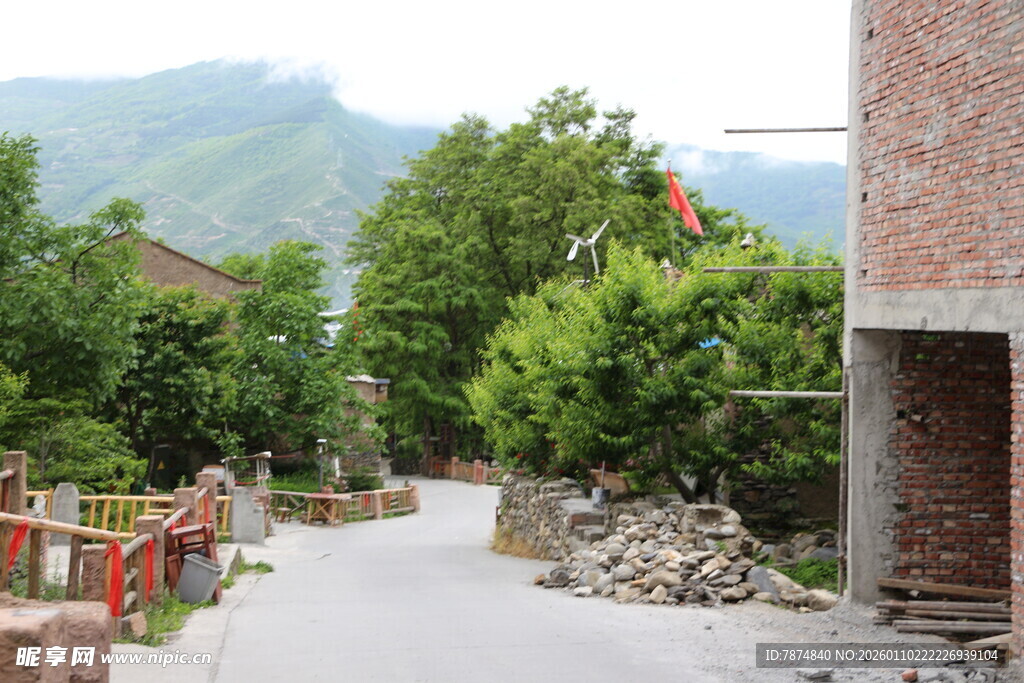 乡村小道 绿树环绕的景致