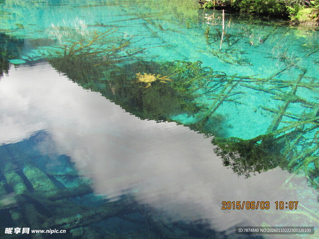 清澈海面下的绚丽海底世界