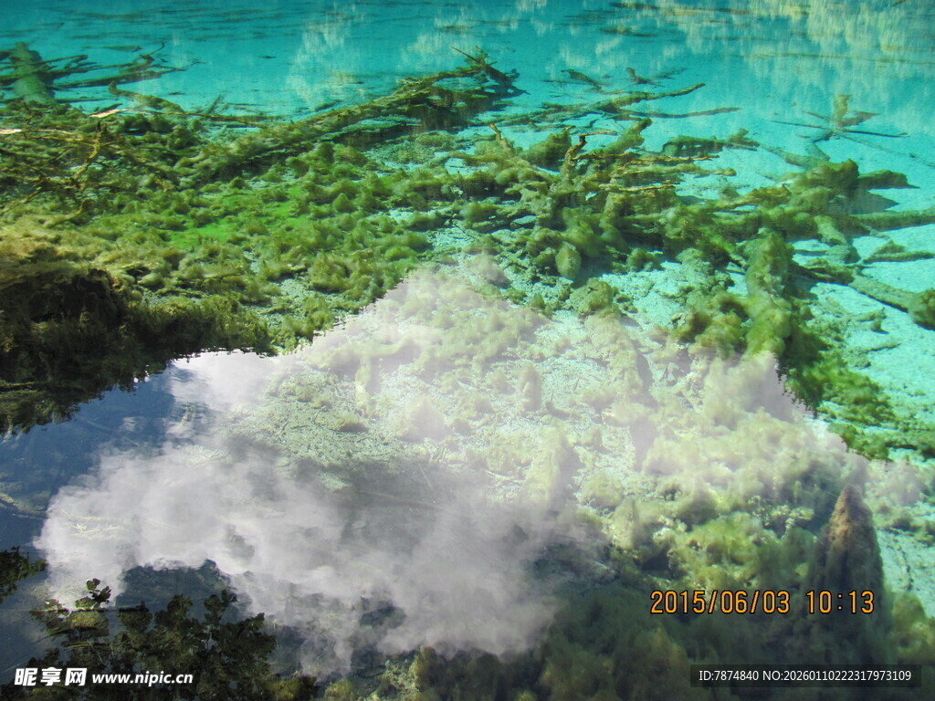 水下奇幻景观 云影映绿苔