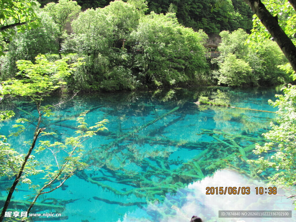 清澈蓝绿的森林幽潭