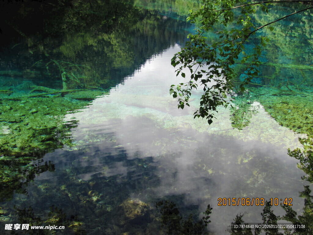 森林中的梦幻云雾景观