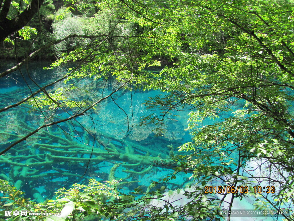 翠绿环绕的澄澈蓝湖