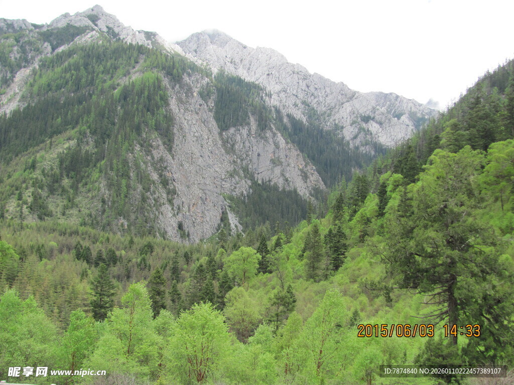 青山翠谷间的秀丽山林景色