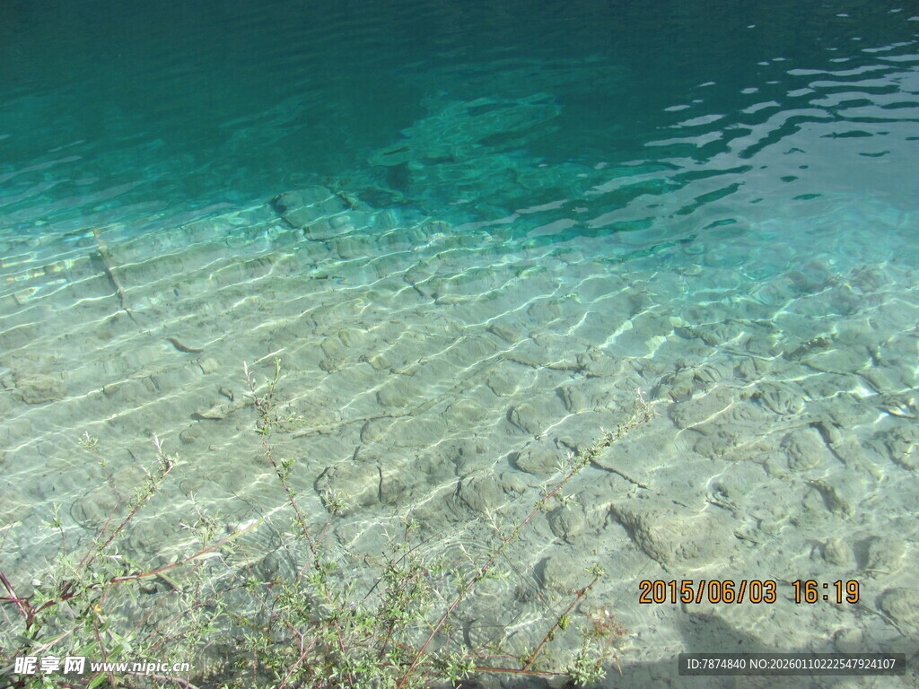 清澈见底的水底世界