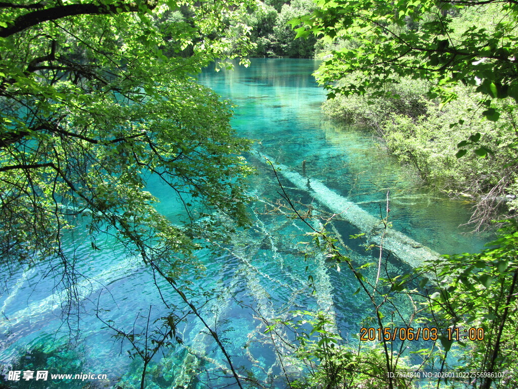 森林中的清澈蓝绿色溪流