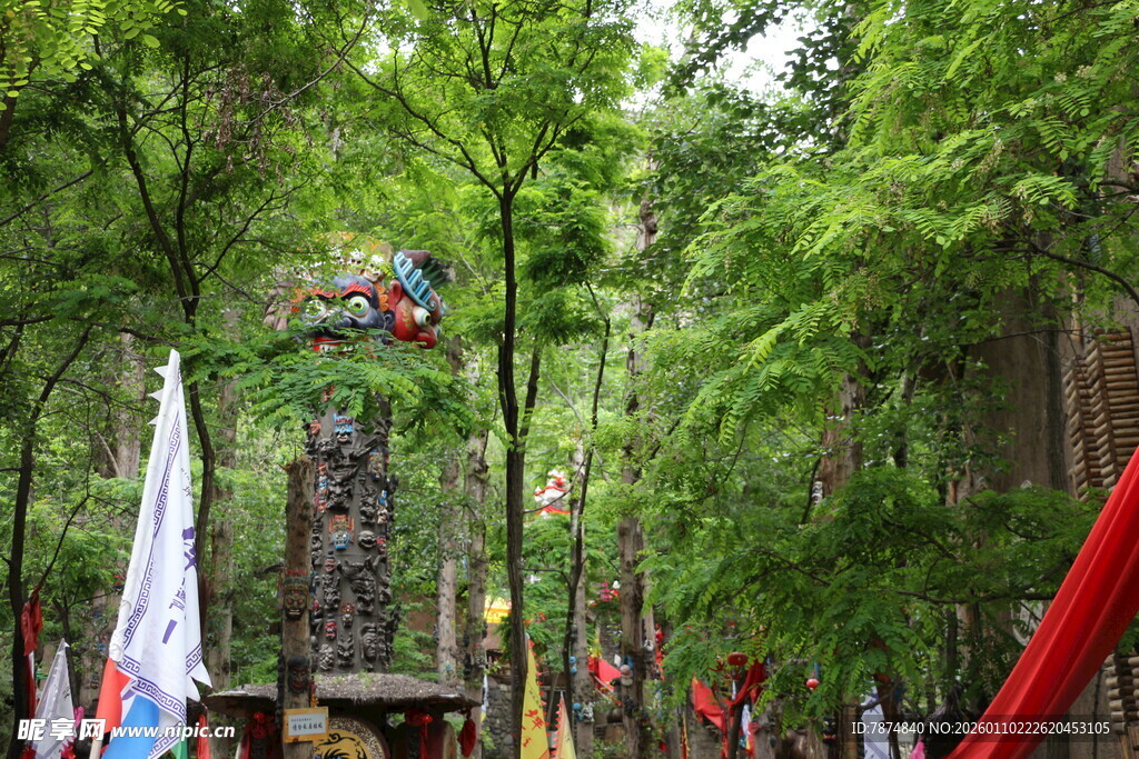 森林中的多彩装饰景观