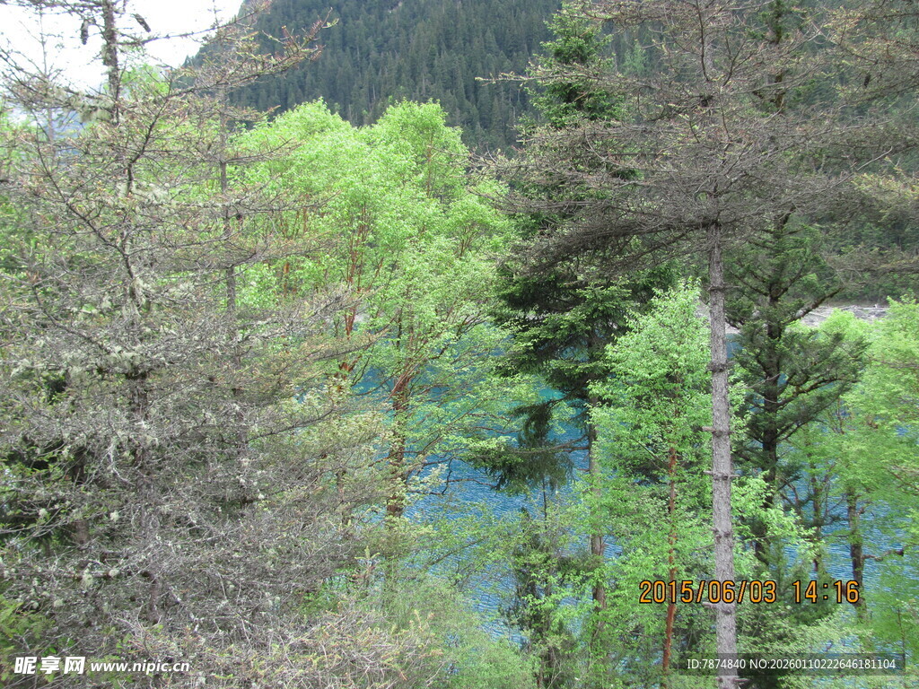 山间葱郁林 幽蓝湖水景