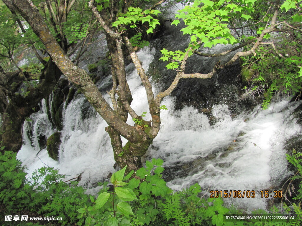 山间飞瀑伴绿意盎然