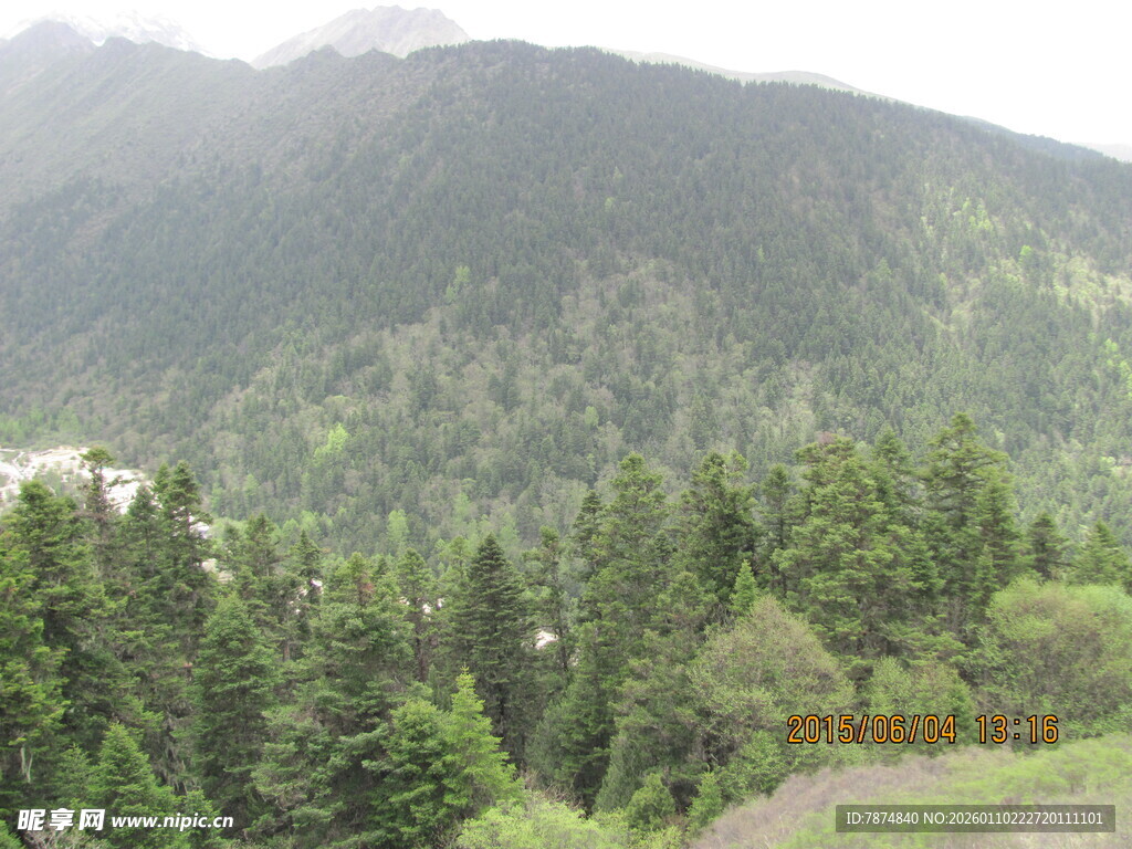 山林葱郁的自然美景