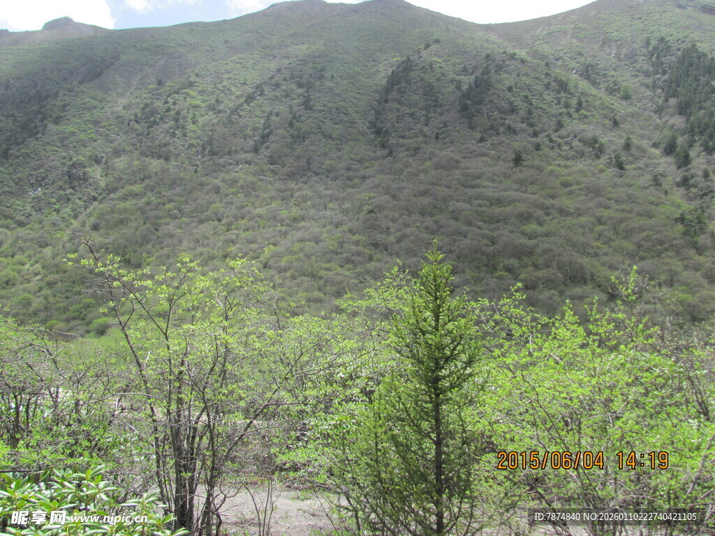 山间绿意盎然的自然景致